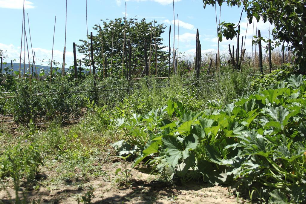 Tenuta La Santissima San Rocco a Pilli Exterior foto
